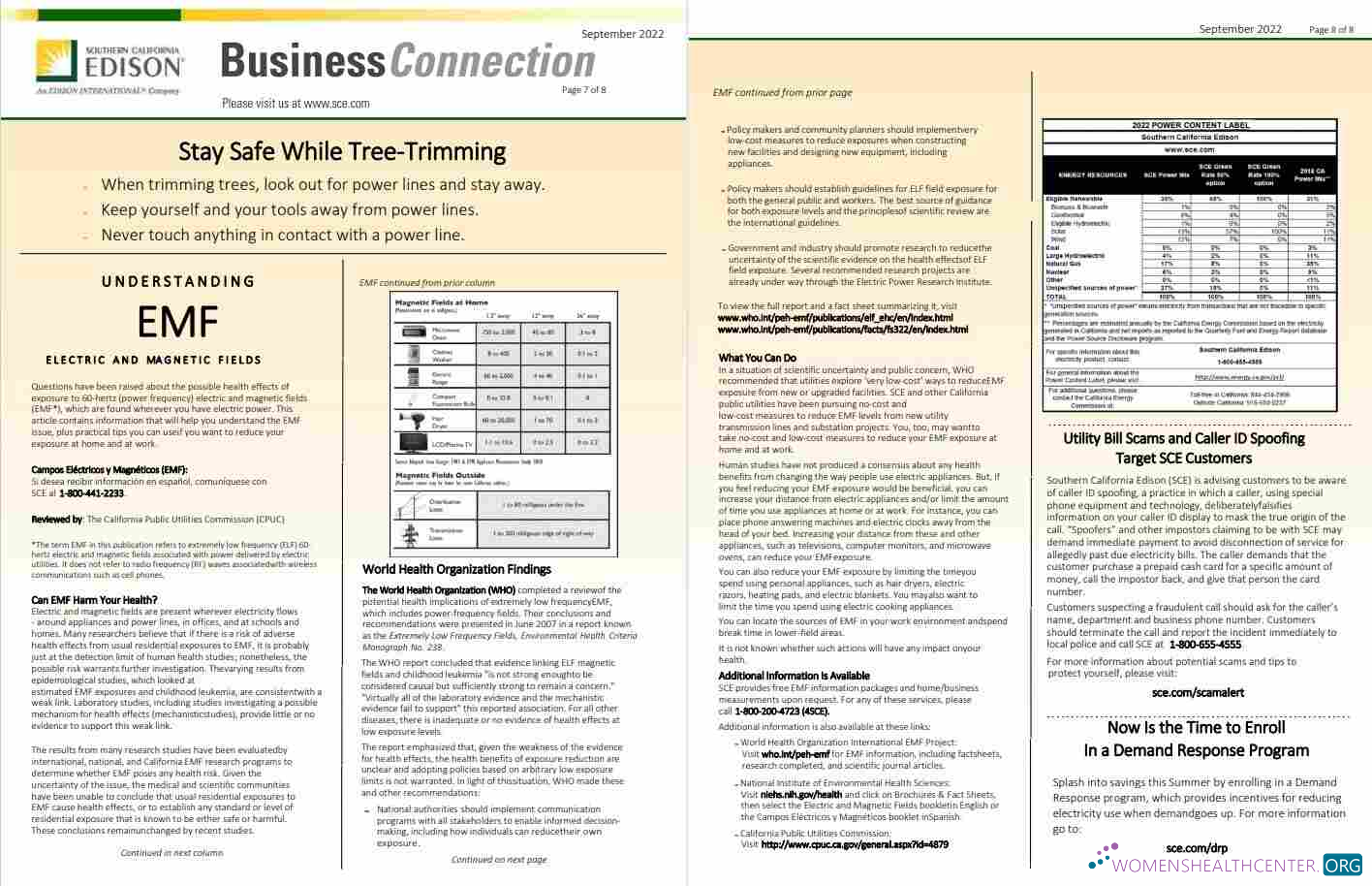 download USA Southern California EDISON utility bill, Word and PDF template, 8 pages 7 8 PDF template